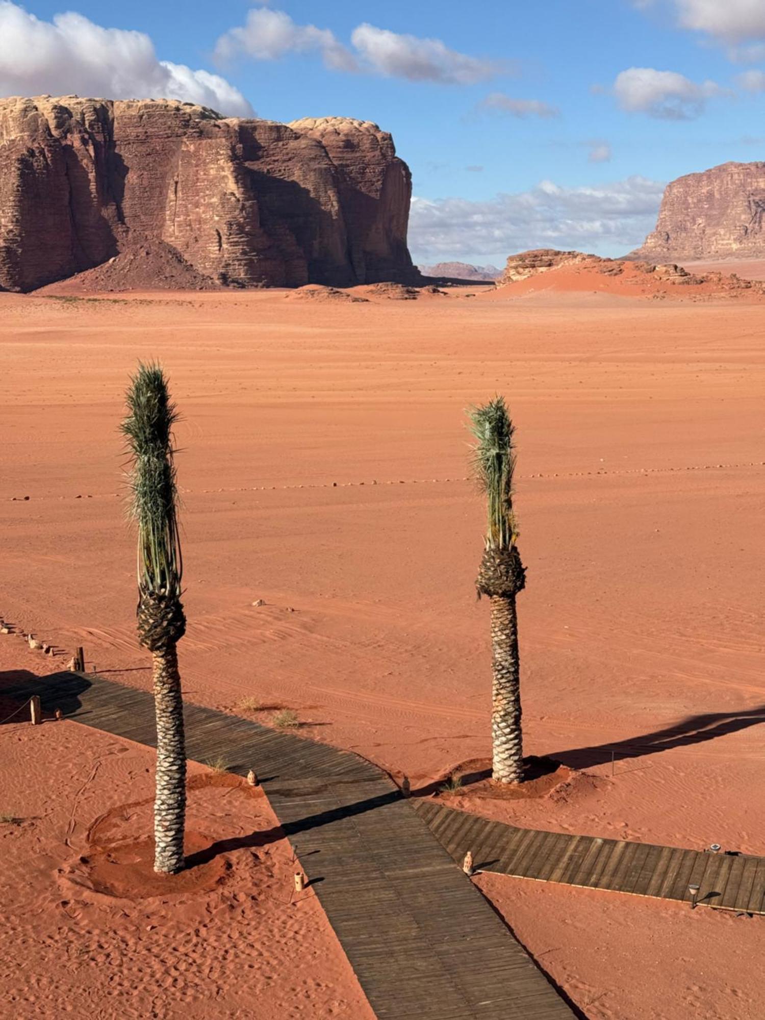 Wadi Rum Bedouin Camp Exteriör bild