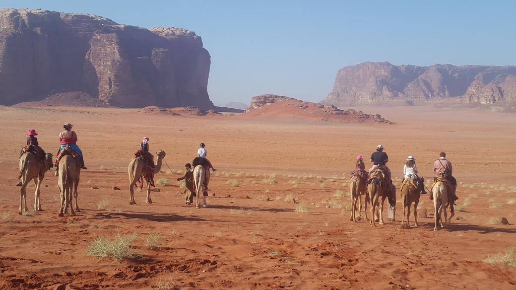 Wadi Rum Bedouin Camp Hotell Exteriör bild