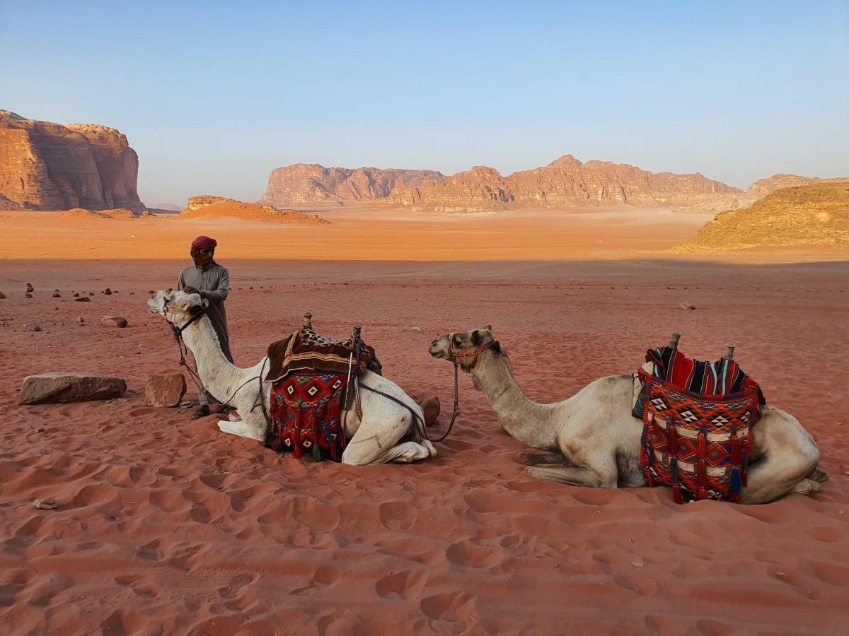 Wadi Rum Bedouin Camp Hotell Exteriör bild