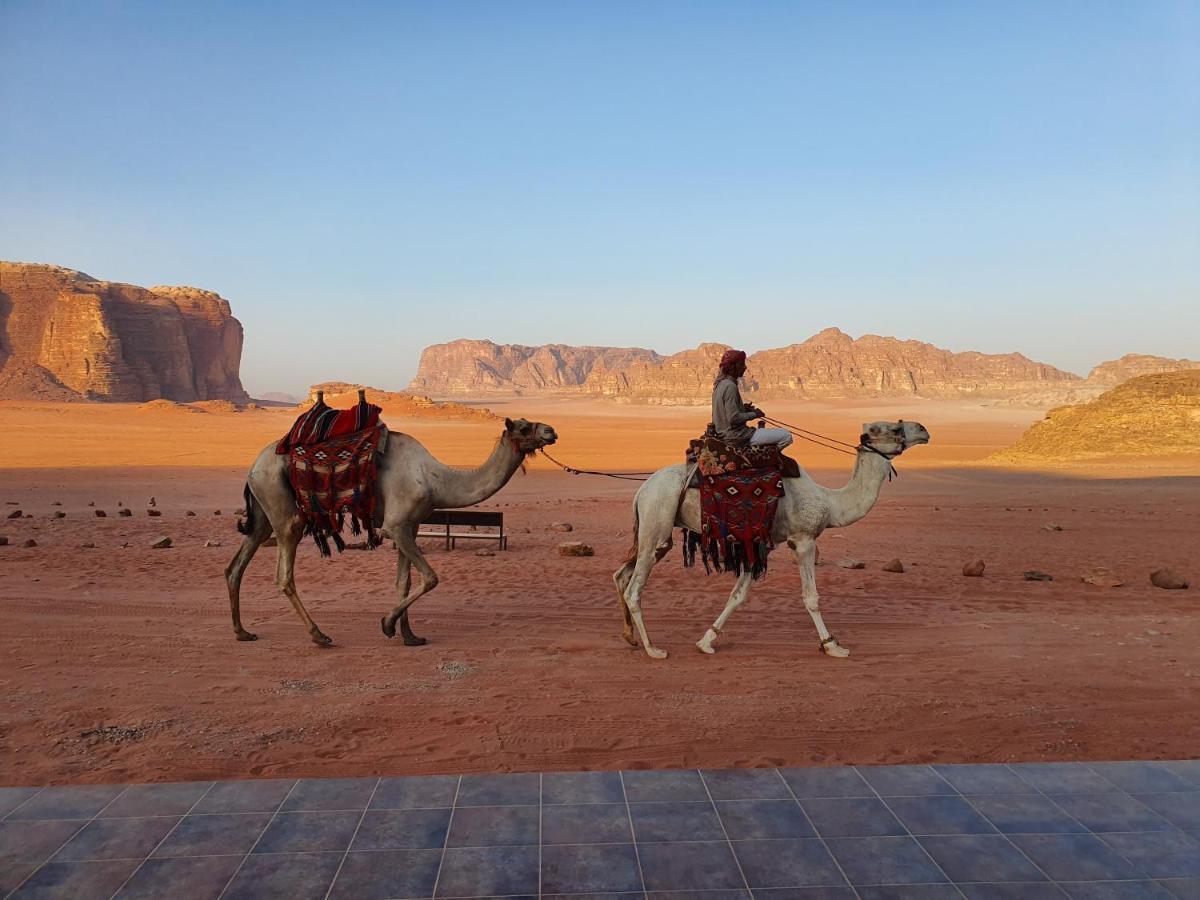 Wadi Rum Bedouin Camp Hotell Exteriör bild